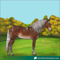 Horse Color:Powder White Silver Brown 