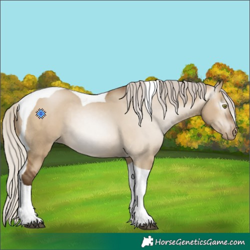 Horse Color:Gray Silver Bay Pearl Dun Tobiano