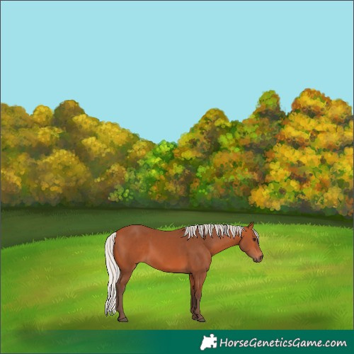 Horse Color:Silver Bay