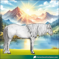 Horse Color:Bay Sabino