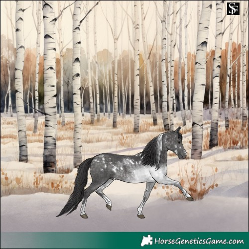 Horse Color:Platinum White Spotted Buckskin Sabino
