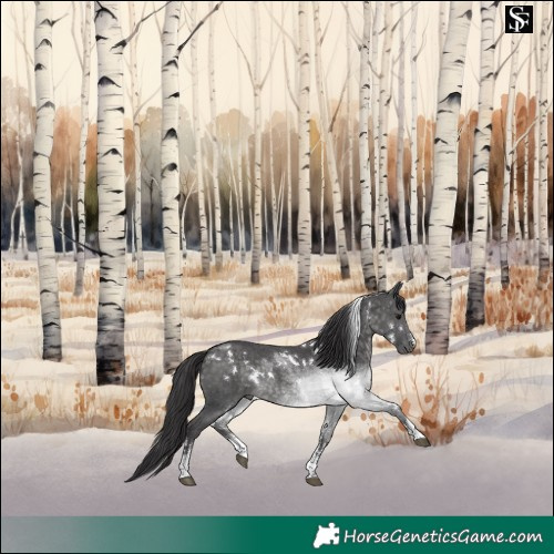 Horse Color:Platinum White Spotted Buckskin Sabino 