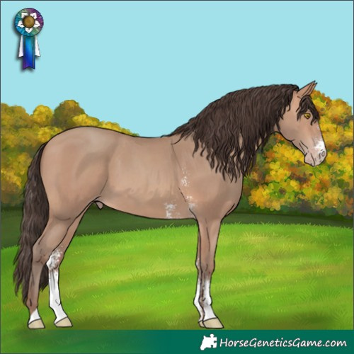 Horse Color:Amber Champagne Sabino 