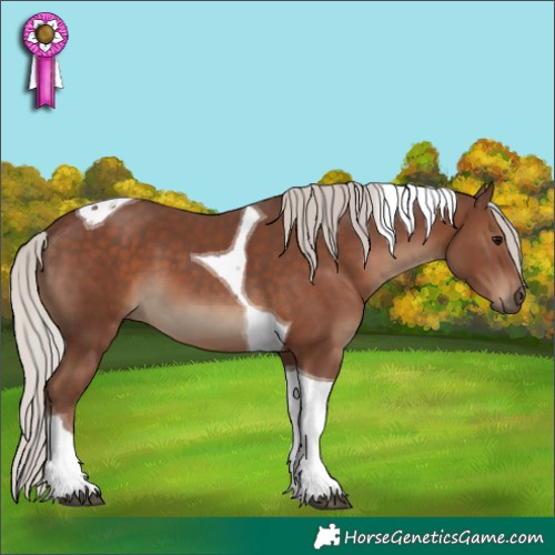 Horse Color:Silver Black Tobiano 