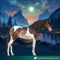 Horse Color:Brown Tobiano Rabicano 