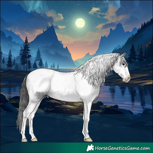 Horse Color:Black Tobiano Frame 