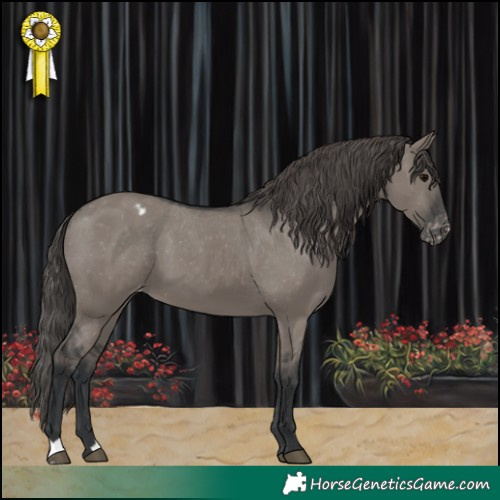 Horse Color:Grullo Varnish 