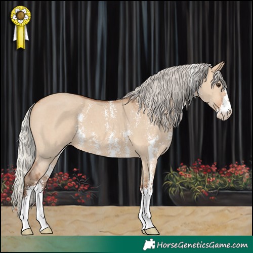 Horse Color:Silver Bay Dun Sabino 