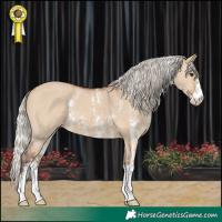 Horse Color:Silver Bay Dun Sabino
