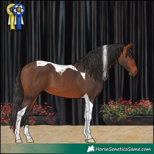 Horse Color:Bay Tobiano 