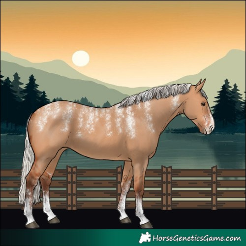 Horse Color:Powder White Silver Bay Dun