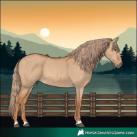 Horse Color:Red Dun 