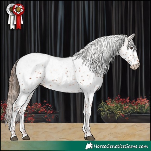 Horse Color:White Spotted Chestnut 