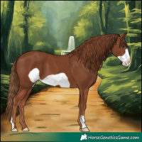 Horse Color:Chestnut Frame