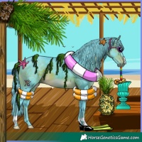 Horse Color:Watercolor Brown
