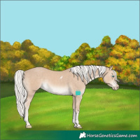 Horse Color:Silver Smoky Creme Tobiano
