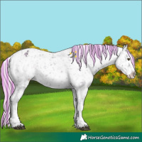 Horse Color:Painted Watercolor Red Dun Ice Sabino Tobiano Appaloosa 