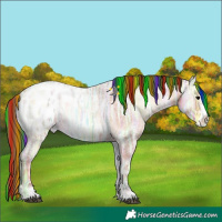 Horse Color:Painted Bay Ice Roan Onyx Sabino Appaloosa