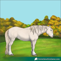Horse Color:Perlino 