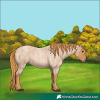 Horse Color:Red Roan