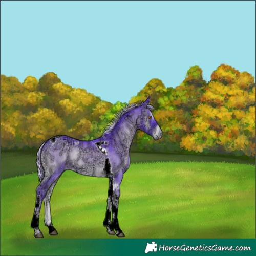 Horse Color:Watercolor Silver Blue Onyx Chinchilla Ice Tobiano 
