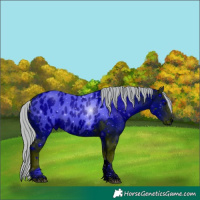 Horse Color:ERROR: UNKNOWN ANOMALY