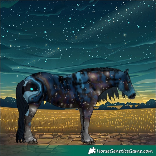 Horse Color:ERROR: UNKNOWN ANOMALY