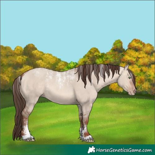 Horse Color:Powder White Amber Champagne Dun 