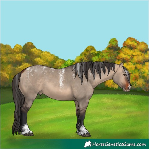 Horse Color:Powder White Brown Dun 