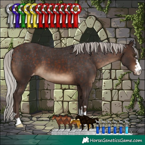 Horse Color:Silver Brown Varnish 