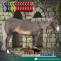 Horse Color:Silver Brown Appaloosa