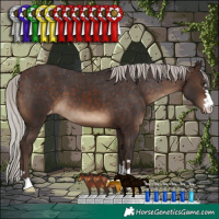 Horse Color:Silver Brown Varnish 
