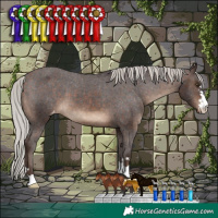 Horse Color:Silver Brown Appaloosa 