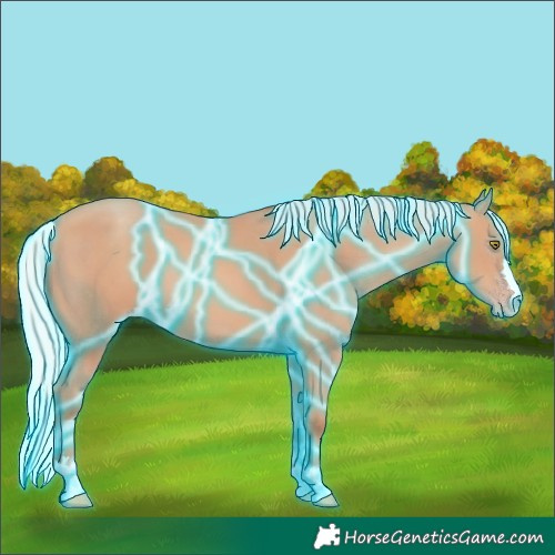 Horse Color:Thunderstruck Silver Sable Champagne
