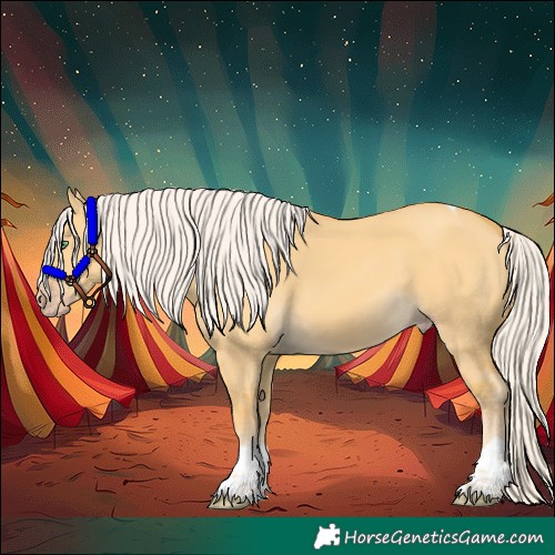 Horse Color:Silver Amber Cream Champagne Dun Tobiano