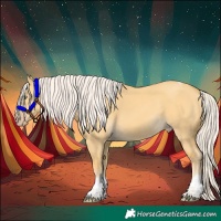 Horse Color:Silver Amber Cream Champagne Dun Tobiano
