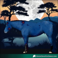 Horse Color:ERROR: UNKNOWN ANOMALY