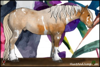 Horse Color:White Spotted Chocolate Palomino Tobiano 