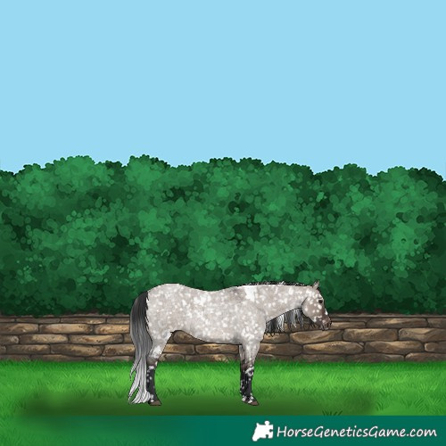 Horse Color:White Spotted Brown Roan Dun Snowflake Varnish
