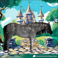 Horse Color:Void Bay Dun Sabino Splash