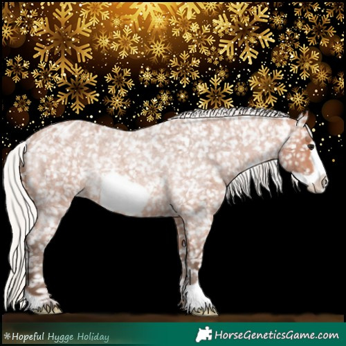 Horse Color:Silver Bay Roan Frame Appaloosa Rabicano 