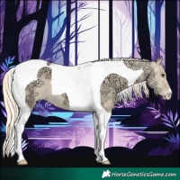 Horse Color:Palomino Ice Dun Tobiano