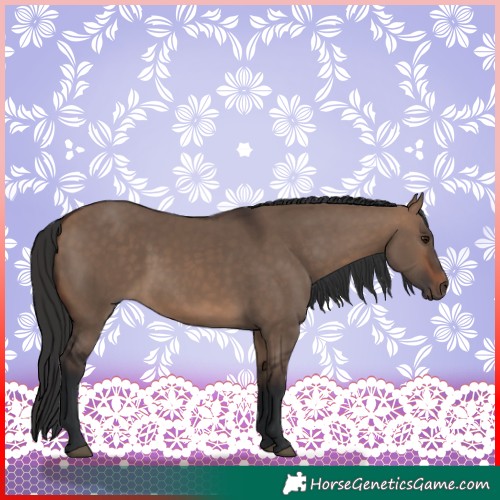Horse Color:Brown Dun 