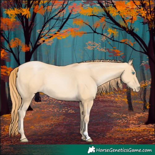 Horse Color:Buckskin Pearl 