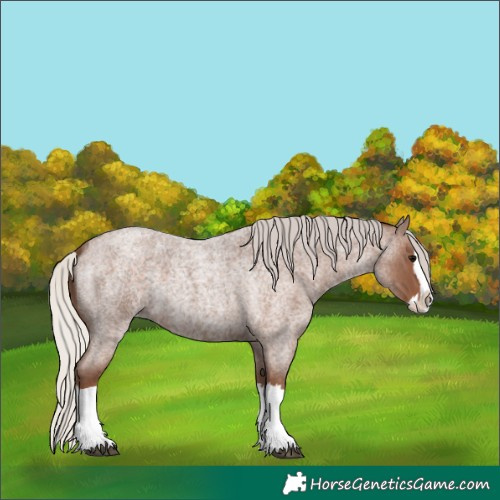 Horse Color:Silver Blue Roan Splash 