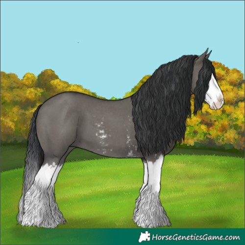 Horse Color:Grullo Sabino Splash  and Grullo Sabino Splash 