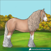 Horse Color:Gold Champagne Splash