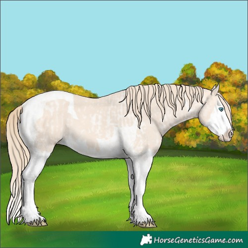 Horse Color:Perlino Roan Splash  and Perlino Splash Tobiano 