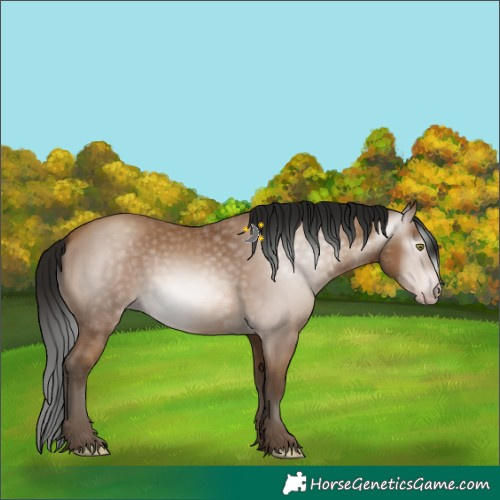 Horse Color:Gray Amber Champagne 