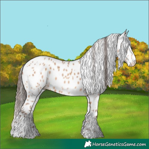 Horse Color:Amber Champagne Appaloosa and Amber Champagne Appaloosa